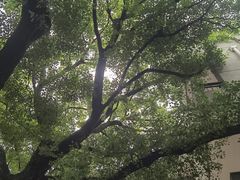 -湖北美术学院(昙华林校区)