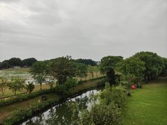 -嘉北郊野公园