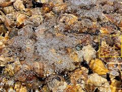 -三亚火车头万人海鲜广场