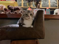 -咖法森林·咖啡  酒吧(天河店)