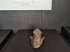 -北京周口店北京人遗址博物馆