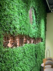 -变美丽半永久纹眉连锁·机器野生眉•洗眉