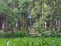 -东湖落雁景区