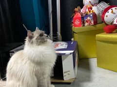 -零纪元VR体验馆·桌游(黄浦店)