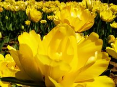 -长春公园(普阳街道)