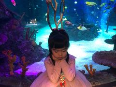 -沈阳海洋探索中心