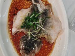 清蒸鲈鱼-旭璟酒家·传统粤菜·湘菜(逸景路店)