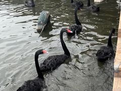 -无锡动物园·太湖欢乐园