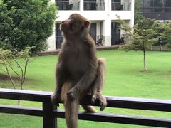-苏州环秀晓筑养生度假村