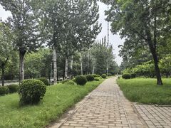 -元大都城垣遗址公园