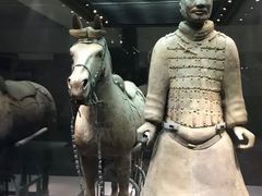 -秦始皇帝陵博物院-丽山园