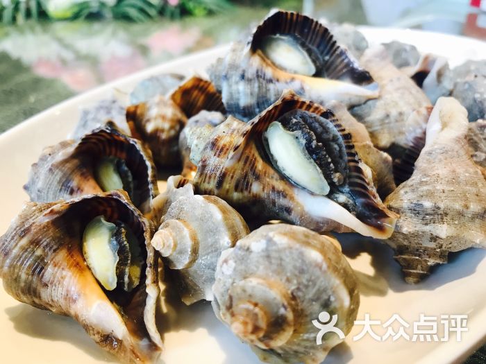 开海红岛海鲜虾水饺(新湛路店)图片 - 第7张