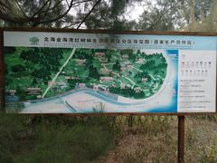 -北海金海湾红树林生态旅游区