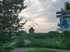 -东郊湿地公园