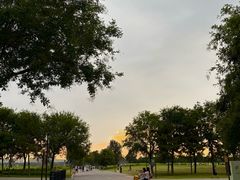 -汉长安城未央宫国家考古遗址公园