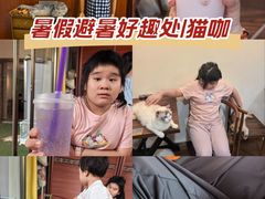 -楼上猫咖(罗湖店)