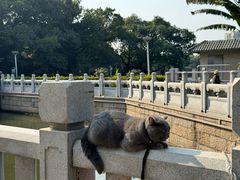 -荔湾湖公园