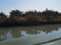 -三垟湿地