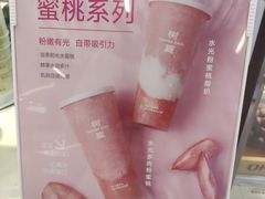 -树夏(成都招商大魔方店)