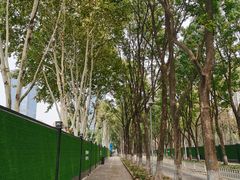 -后襄河公园