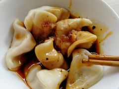 红油水饺-岳四孃老面馆(四川师范大学狮子山校区桂苑店)