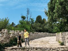 -原山国家森林公园