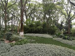 -忠山公园
