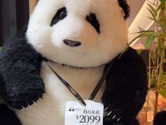 -轩客会(熊猫书店)
