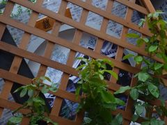 花格-203密室逃脱体验馆·聚会·亲子·团建(中关村店)