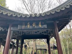 -上海佘山国家森林公园天马山园