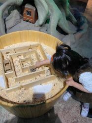 -酷嗒动物文化乐园(cutezoo西溪乐天城店)