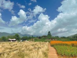 -太古映画婚纱摄影(天河店)