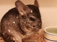 -龙猫仔乐园(惠福东路店)