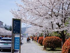 -江南大学(蠡湖校区)