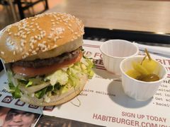 -The Habit Burger Grill 哈比特汉堡(复兴soho店)