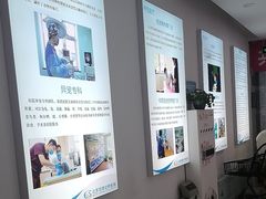 -北京观赏动物医院·24小时大型综合·猫专科·异宠专科