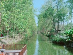 -合肥滨湖国家森林公园