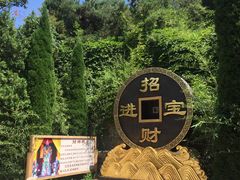 -龙口南山旅游景区