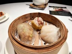 -新同乐鱼翅酒家(美丽华店)