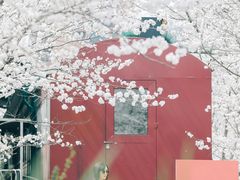 -新天地活力PARK