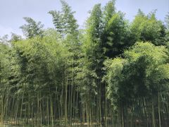 -杭州双溪漂流景区