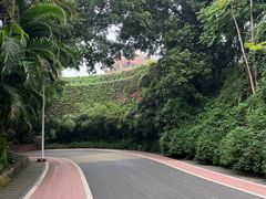 -仙岳公园