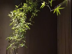 -喜湘宴·精致湖南菜(和平西桥店)