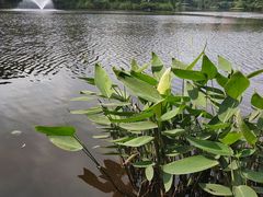 -重庆彩云湖湿地公园