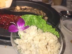 -川西坝子(老军营店)