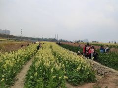 -三圣花乡旅游区