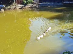 -静之湖度假区
