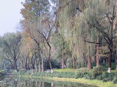 -柳浪闻莺公园