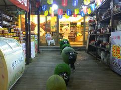 -西塘土特产