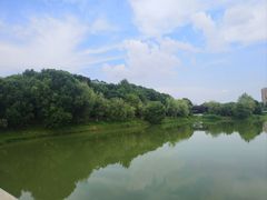 -八大山人梅湖景区